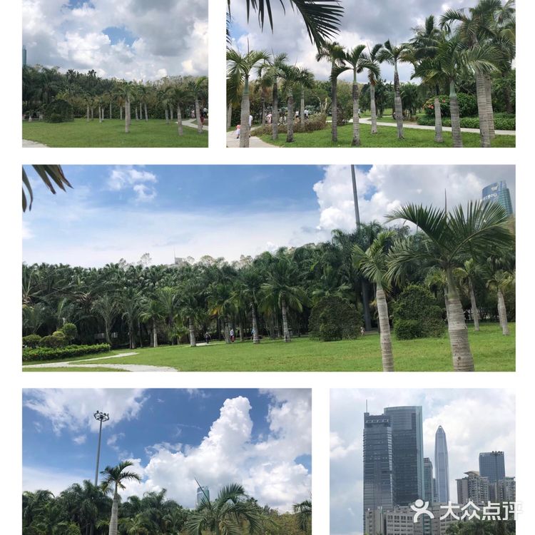 攻略丨打卡深圳的另外一个地标莲花山公园