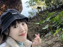 -大湾区中央湿地公园
