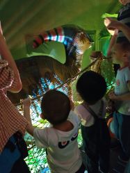 -恐龙探索乐园(磁器口店)