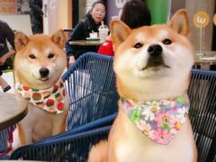 -Wagas沃歌斯(大学路店)