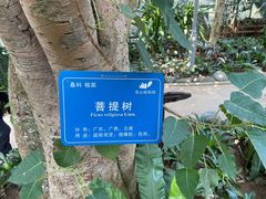 -南山植物园