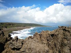 -龙坑生态保护区