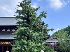 -径山寺