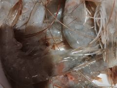 -比尔森韩式烤肉自助(绿园店)