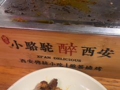 -福苗小骆驼烧烤(莲湖路店)