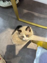 -馨儿·美甲美睫