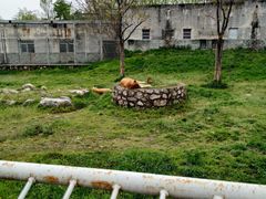 -西安秦岭野生动物园