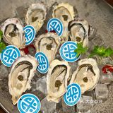日料天花板