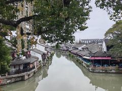 -枫泾丁氏烧卖(枫丽路店)