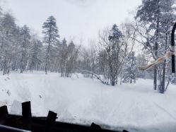 -大秃顶子山(雪谷店)