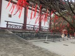 -西安青龙寺遗址景区