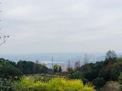 -铁山坪森林公园