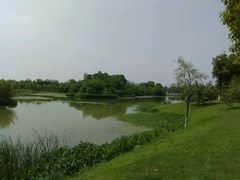 -艾溪湖湿地公园