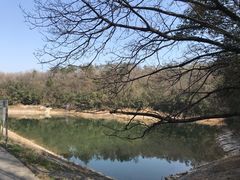 -紫金山索道-售票处
