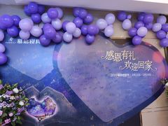 -红星美凯龙(东北全球家居1号店)
