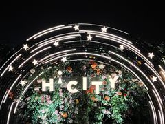 -Hi City·城市之巅