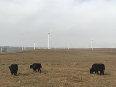 -塞罕坝国家级自然保护区