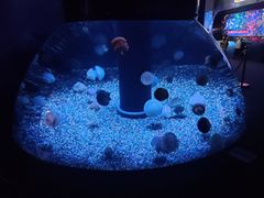 -成都浩海立方海洋公园