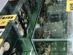 -寻味顺德·南记酒家·传统顺德菜·鱼生(广源路店)