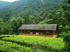 -姑婆山旅游区