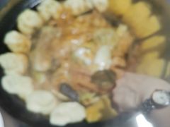 -桃源村铁锅炖鱼(体育馆道店)