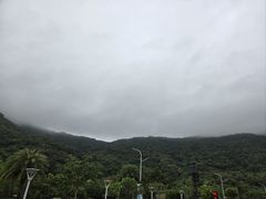 -钱大妈海鲜饭店(保利林语店)