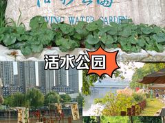 -成都市活水公园