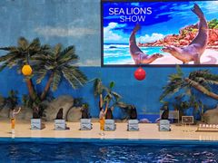 -泉城欧乐堡海洋极地世界