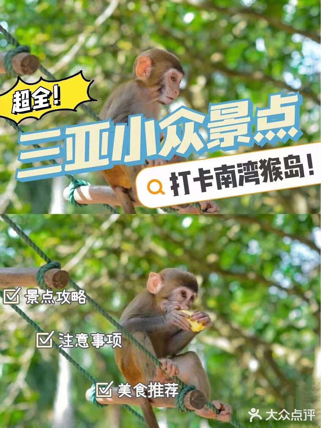 三亚小众景点-南湾猴岛！