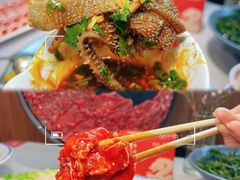 -渝大龙重庆火锅(温泉月亮湾店)