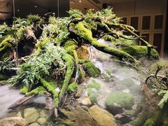 门面-万岛日本料理铁板烧(太古里店)
