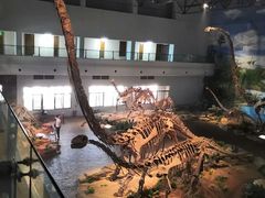 -自贡恐龙博物馆
