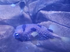 -多彩贵州城极地海洋世界