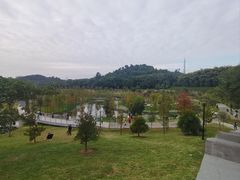 -东莞植物园