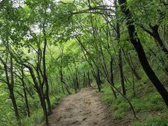 -灵岩山风景区