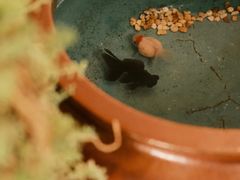 -三仟津花园咖啡馆