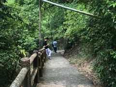 -藏龙百瀑风景区