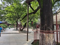 -关中书院