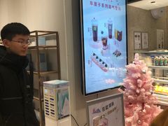 -奈雪的茶(石家庄万象城店)