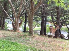 -大堂吧·下午茶·特调鸡尾酒(大连一方城堡豪华精选酒店)