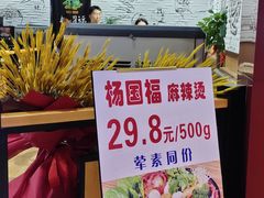 -杨国福麻辣烫