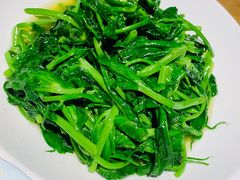清炒豌豆尖-胡马八破·川菜小馆(高新万达店)