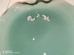 -宁波美术馆