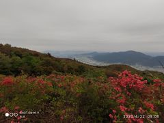 -瑞安圣井山景区