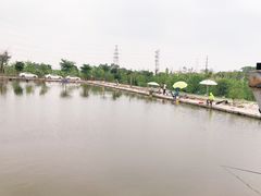 -会江钓鱼钓虾烧烤场