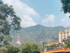 -深圳仙湖植物园