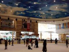 -冠军冰场(环球中心店)