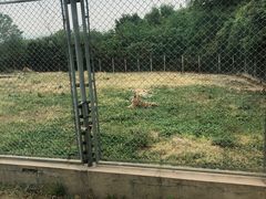 -西安秦岭野生动物园