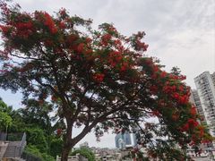 -鸿山公园