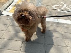 -达爱动物医院·犬猫分区·CT·复杂眼科(远洋山水分院)